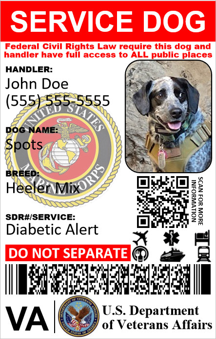 HOLOGRAPHIC VETERAN MILITARY SERVICE DOG ID 1 SIDE ONLY PHYSICAL & DIGITAL