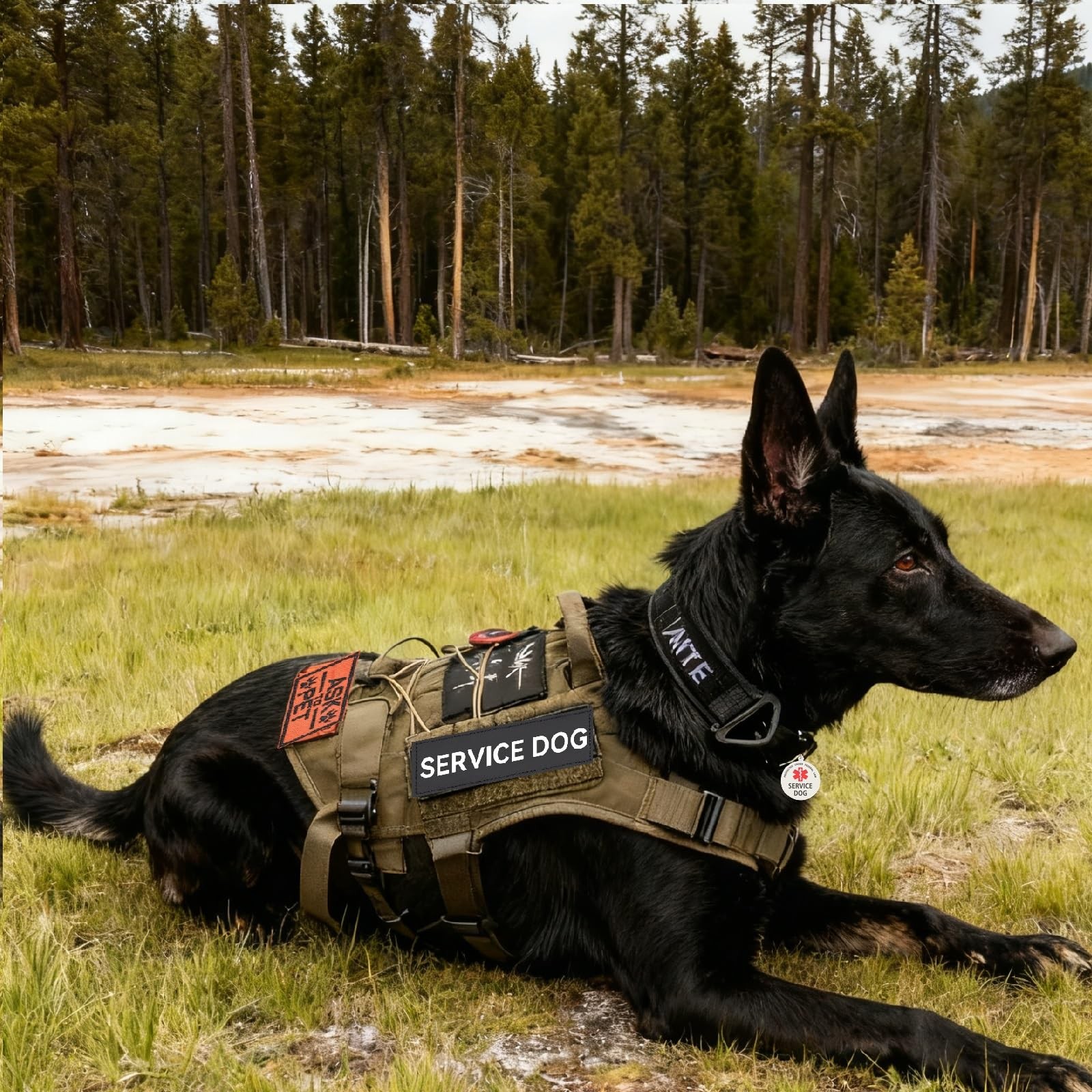 Service Dog Patches Medium 1.18×4.33 Inch ID Tag Attach to Collar Vest 2 PCS
