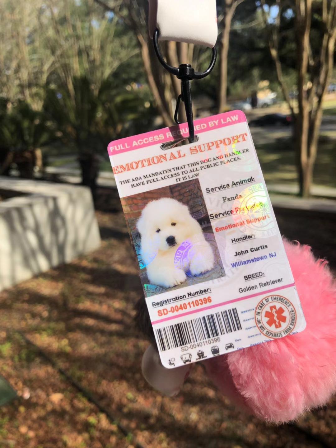 Pink Emotional Support/Service Dog Card ID Holographic Charity ADA ESA Barcode