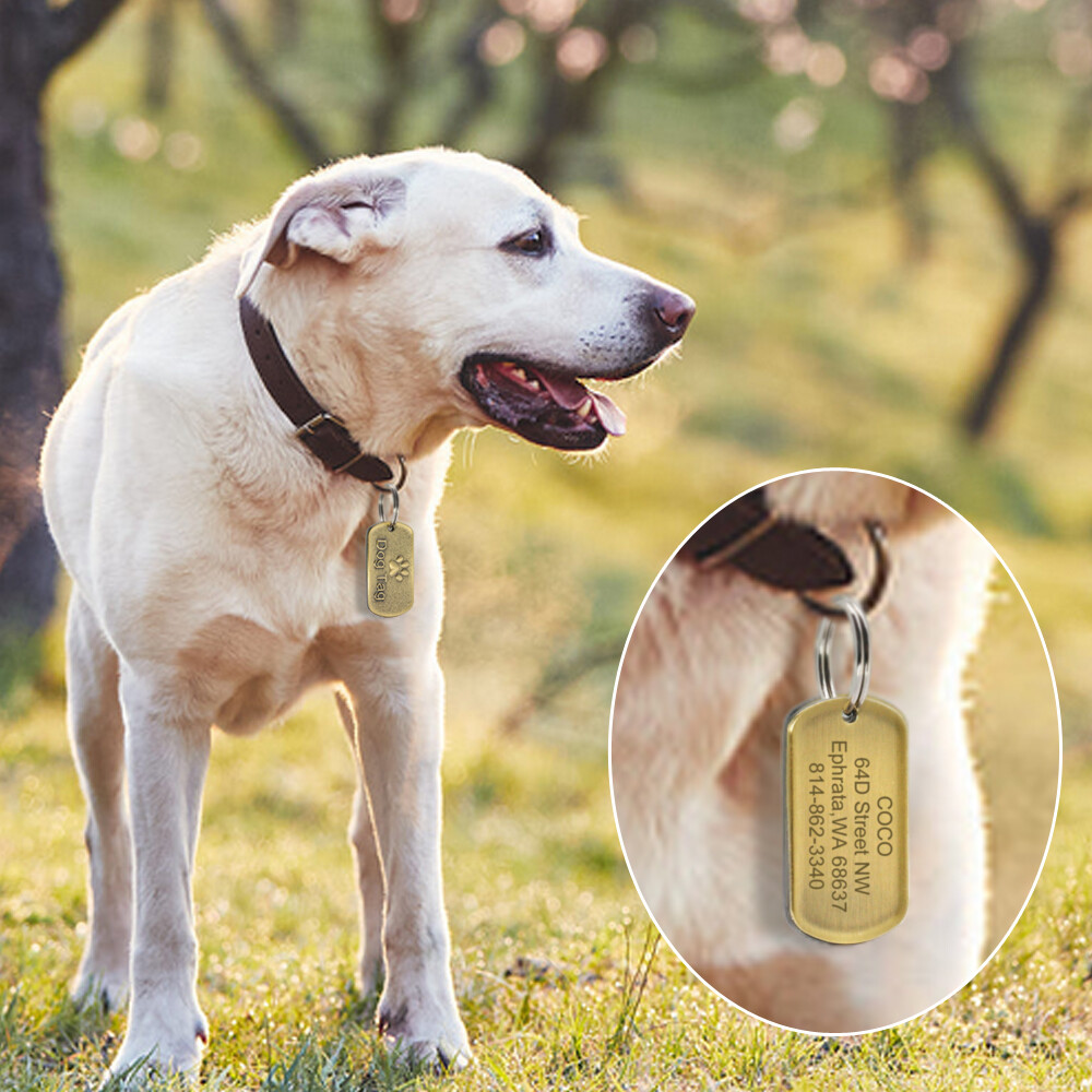 Military Dog Tags Customizable Name ID Collar Tag Engraved Personalized Necklace