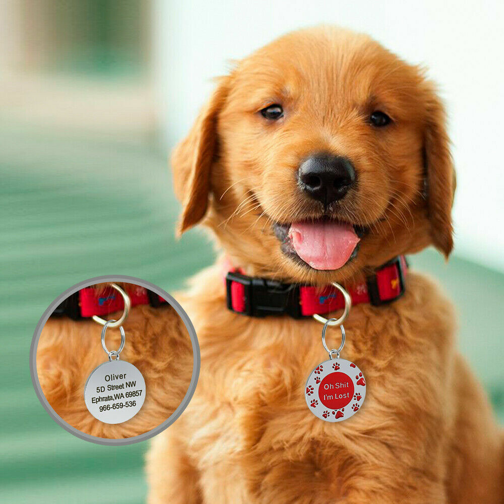 Oh Sh*t I’m Lost Custom Pet Tag ID Name Dog Collar Engraved Funny Tag Split Ring