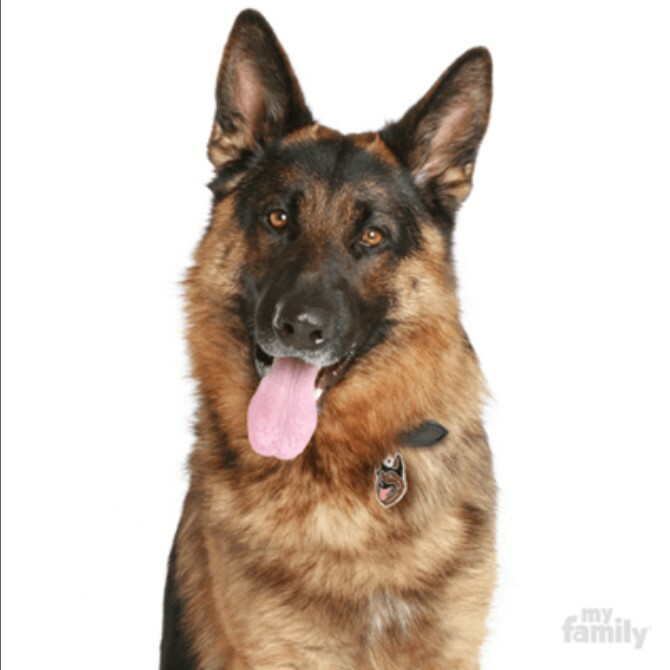 German Shepherd Dog ID Tag (14) – Engraved FREE – Personalised -Charm – Keyring