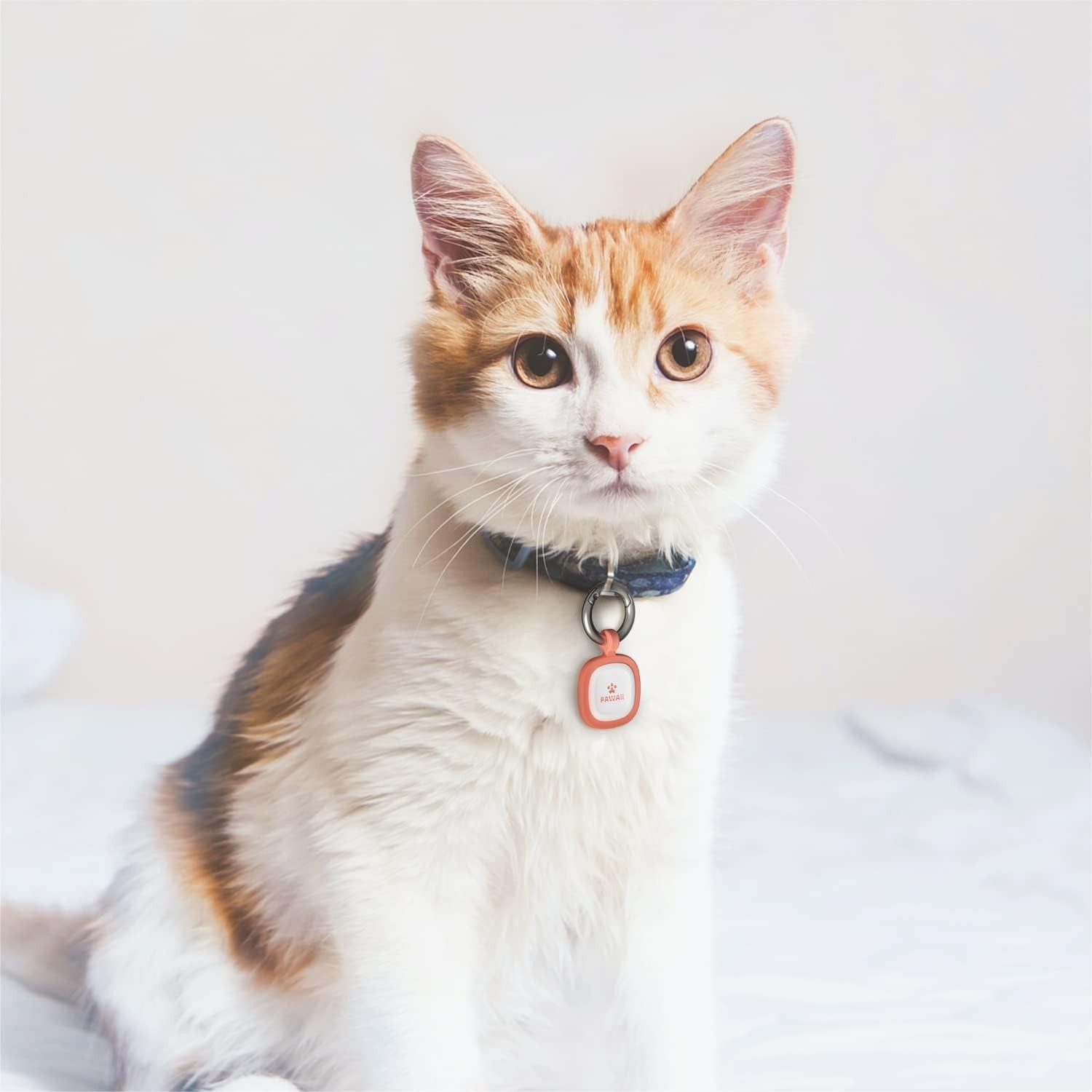 Customizable Silicone Dog and Cat ID Tag with Emergency Location Alert QR Code