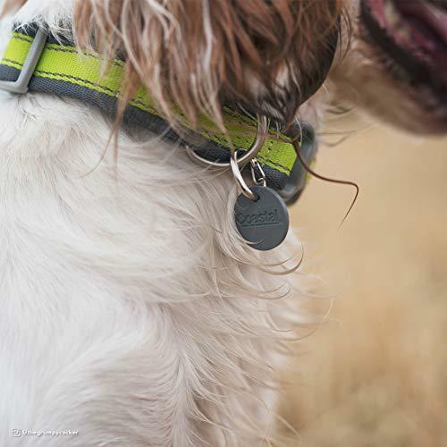 EZ Change Dog I.D. Clip with Silencer