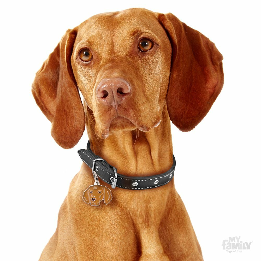 Vizsla Dog ID Tag (72) Engraved FREE – Personalised – Identity – Charm – Keyring