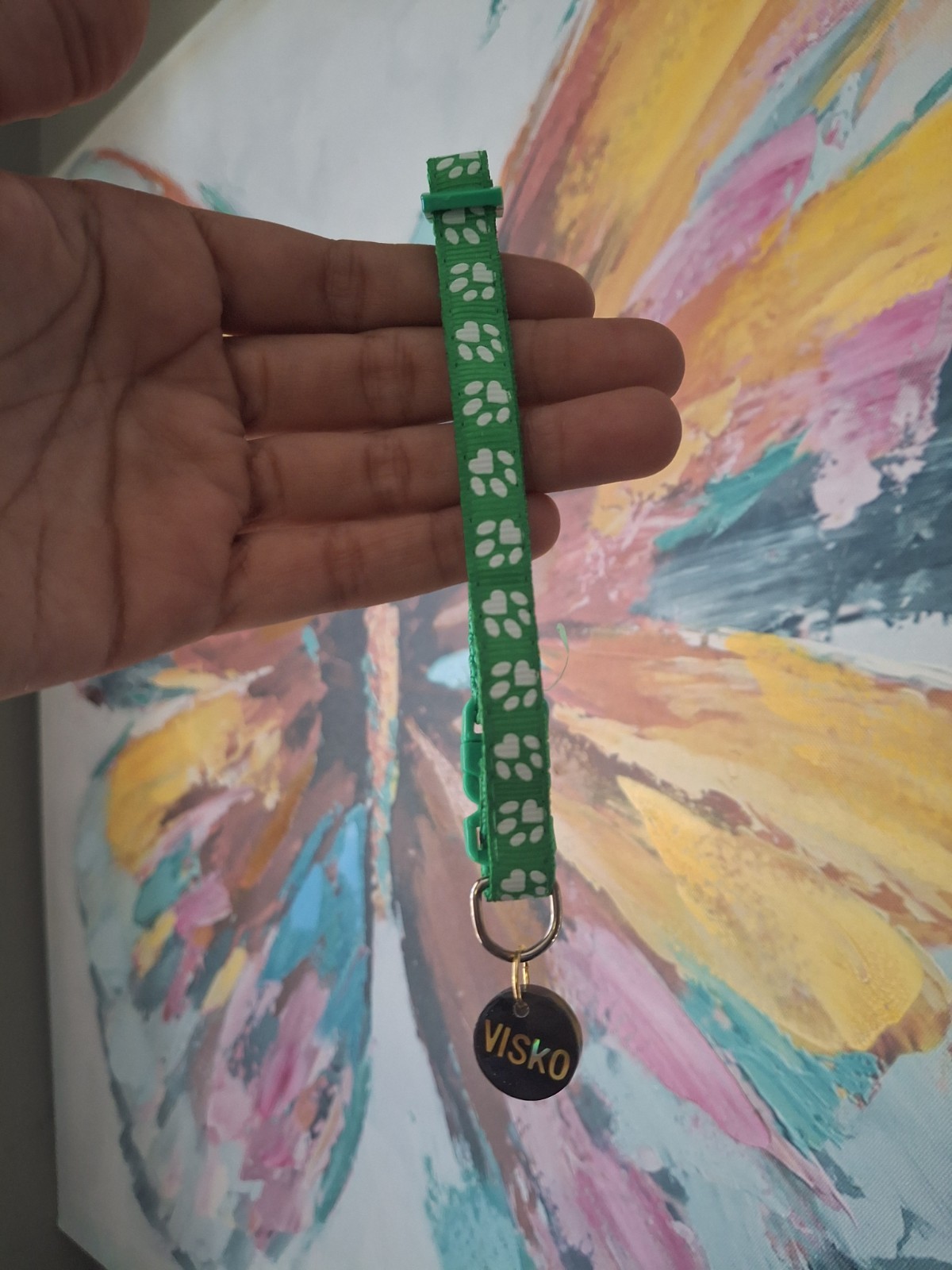 Collar personalizado para mascotas baby yoda