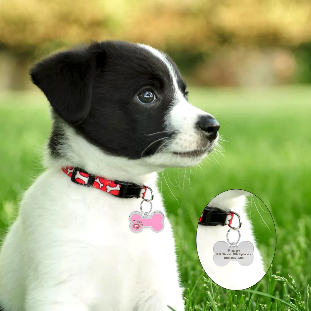 Custom Personalized Dog Tags Round Bone Paw Print Disc Free Engraved Cat ID Tag