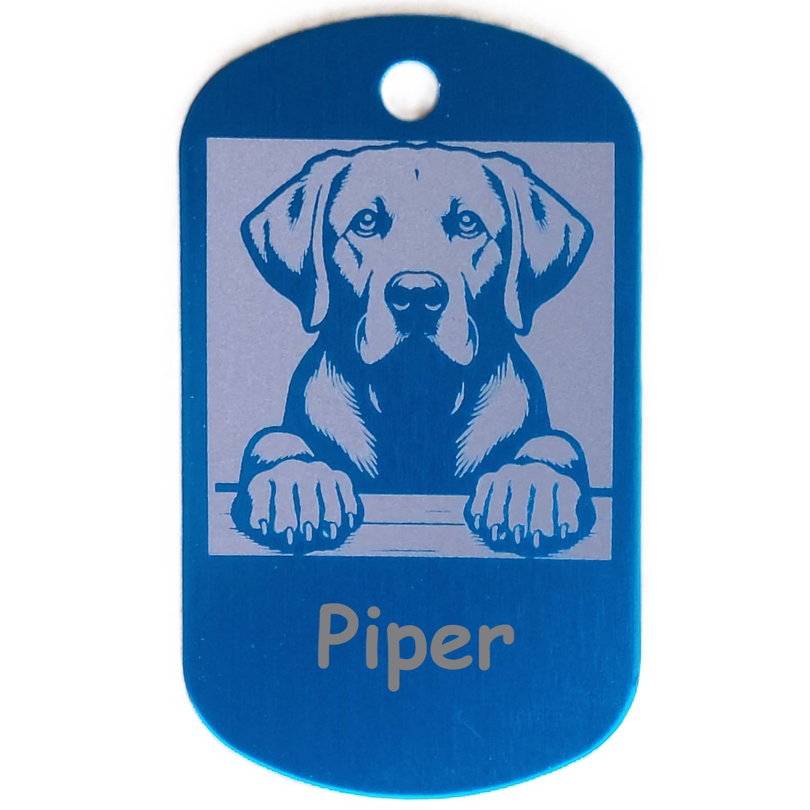 Military Style Personalized Labrador Retriever Dog ID/Name Tag for Pet Collar