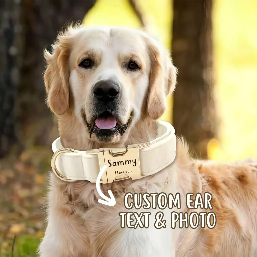 Personalized Velvet Dog Collar with Custom Engraved ID Tag – Adjustable Large