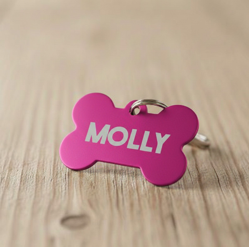 Custom Engraved Metal Dog ID Tag Personalized Pet Tag for Dogs & Cats