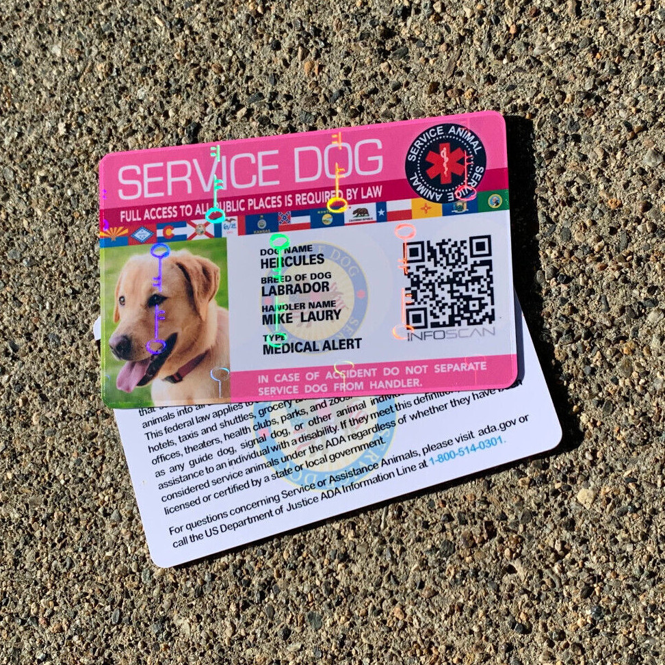 ADA Service Dog Card ID Badge Assistance Animal Badge ESA Holographic – PINK