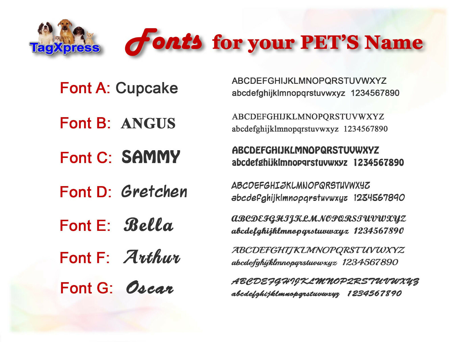 Pet ID Tags Custom Laser Engraved Unique Dog/Cat Aluminum Identification Tags