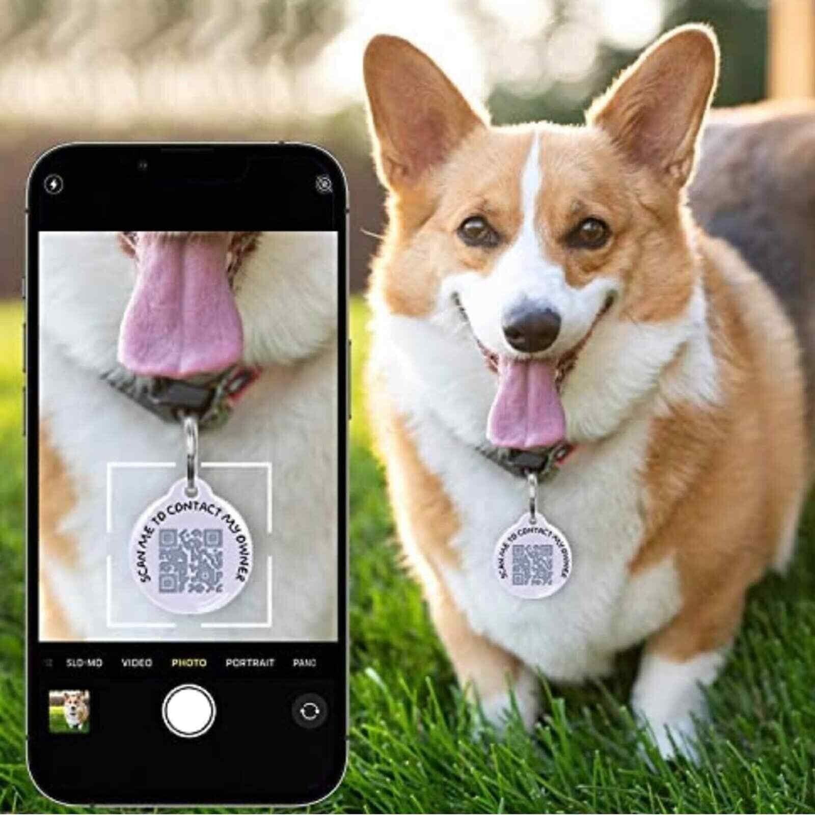 Stainless Steel Dog Cat Pet QR Code ID Name Tag Free Online Profile Scan Track