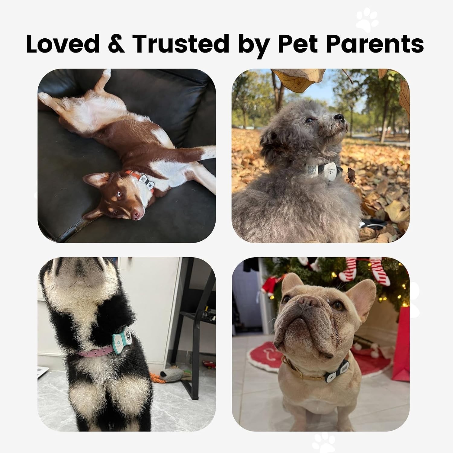 Smart Pet ID Tag, QR Code Dog Tag, No Subscription Fee, Waterproof Silent Sil…