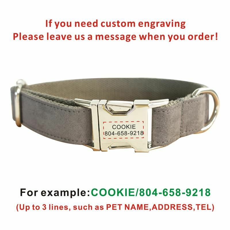 Personalized Adjustable Dog Puppy Cat Collar Name Tag For Leash Pet Accessories