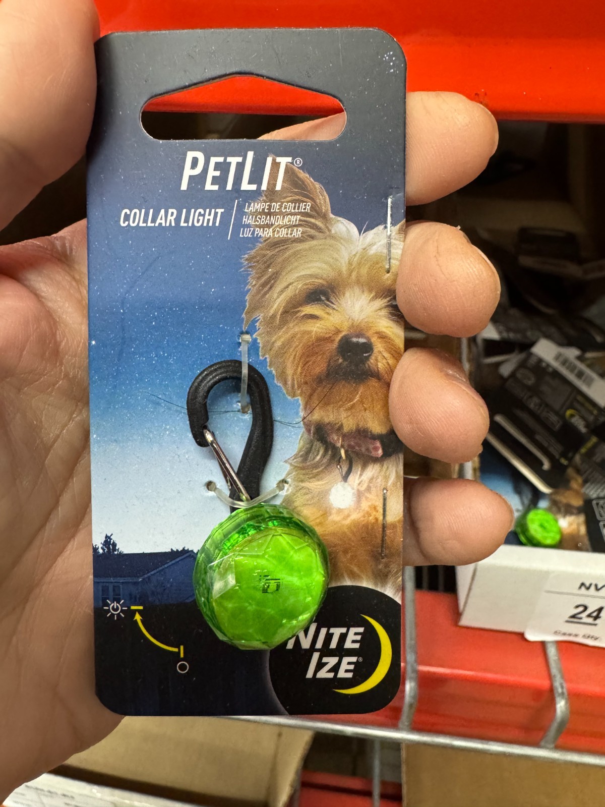 PetLit® Collar Light-Lime Jewel