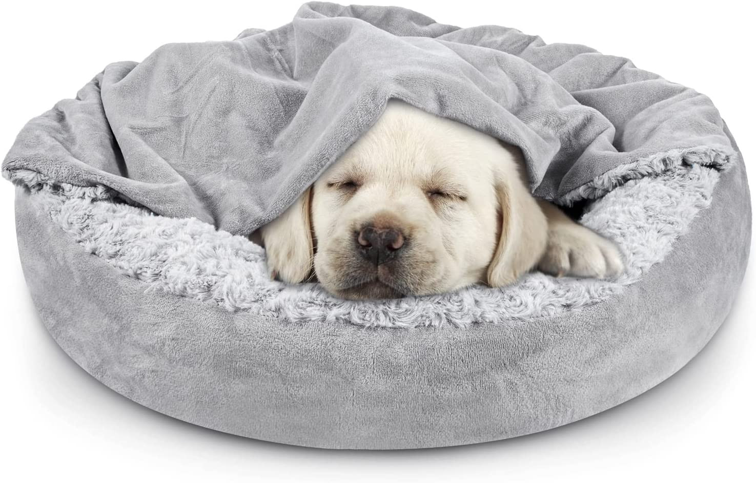 Cama the Cuddle Collab Pet Moderna Estrutura De Madeira Enchimento De Espuma P/