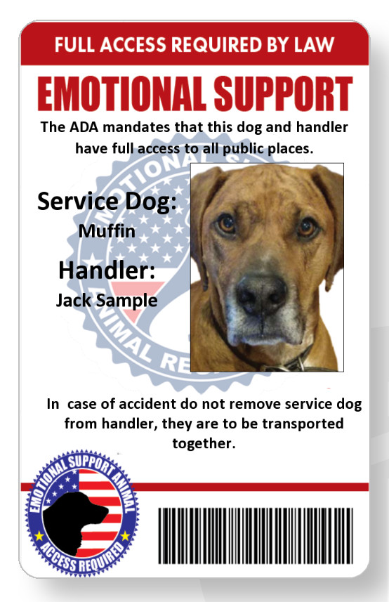 Service/emotional support dog handler ID card printed in vivid full color