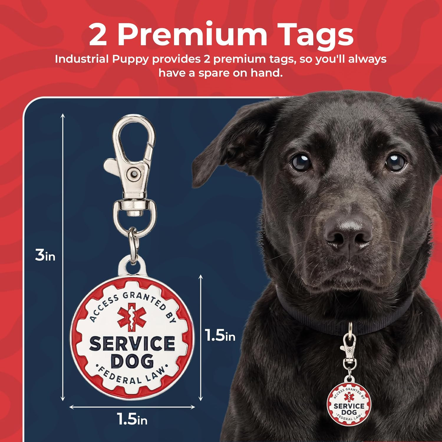 Service Dog Tag, 2 Pack: Metal Pet ID Tags for Service Animals, Emotional Suppor