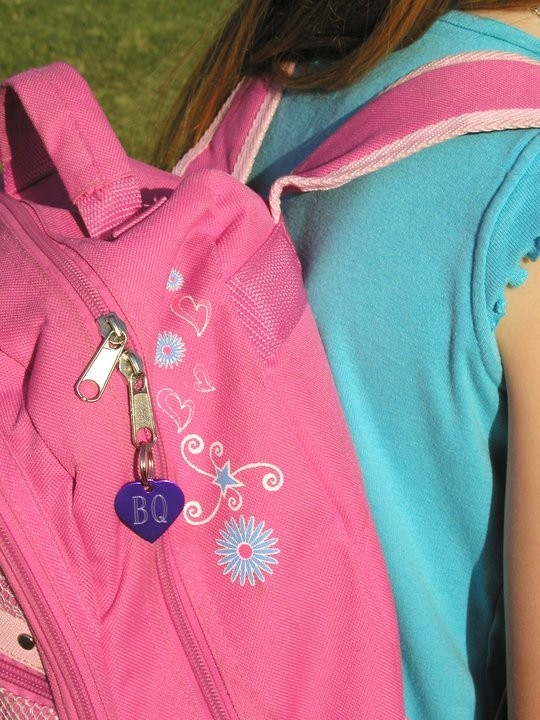 Heart Pet ID Tag Custom Diamond Engraved Dog, Cat, Zipper Pull, Backpack, Purse