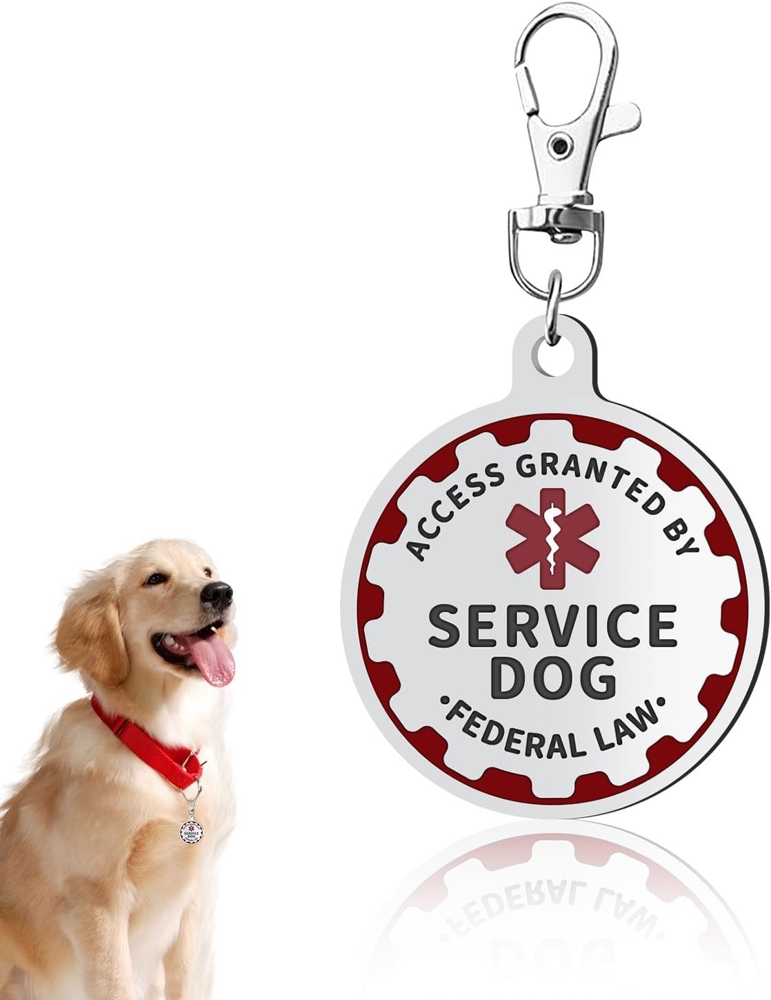 Elegant Stainless Steel Service Dog TAG – Double-Sided for Ultimate Visibility