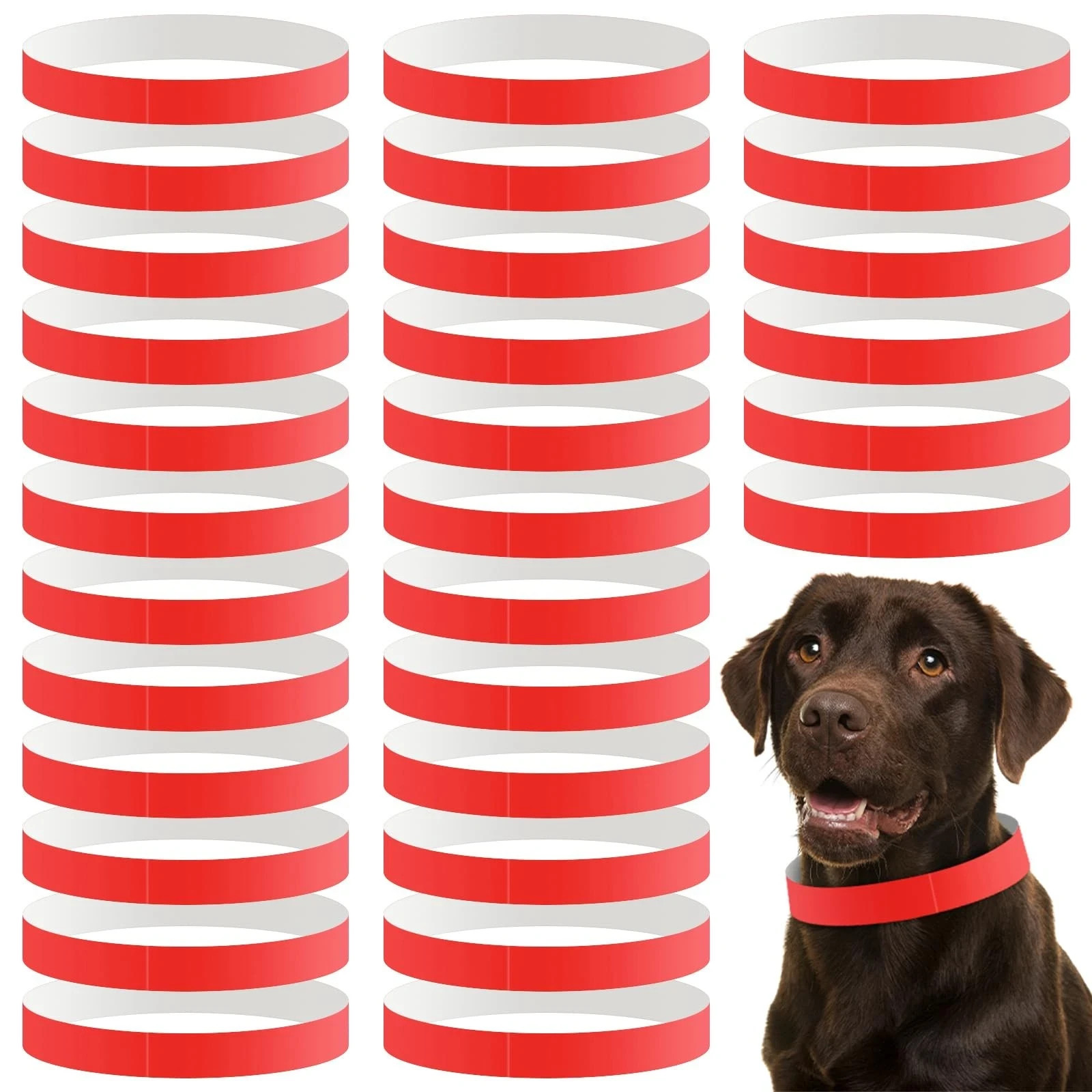 500 Count 20inch Adjustable Paper Dog Collars with Tear Resistant Waterproof …
