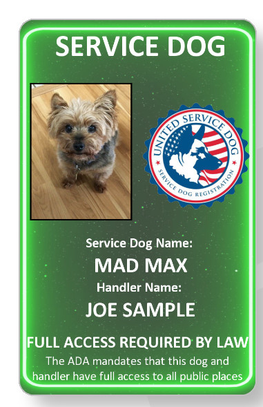 Neon green Service Dog/Emotional support/Therapy Dog ID card