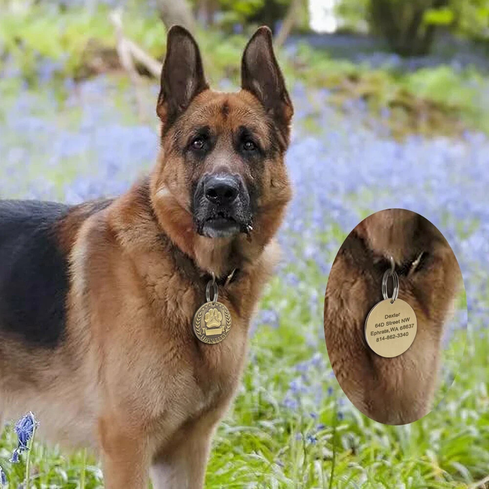 Personalized Engraved Dog ID Tag Custom Name Phone Number Pet Collar Pendant