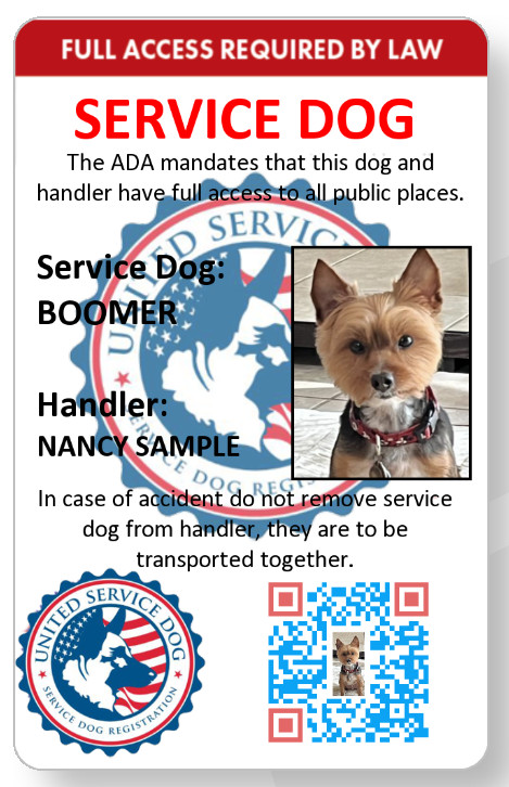 Service dog with custom QR code, direct scan with phone to registration web page