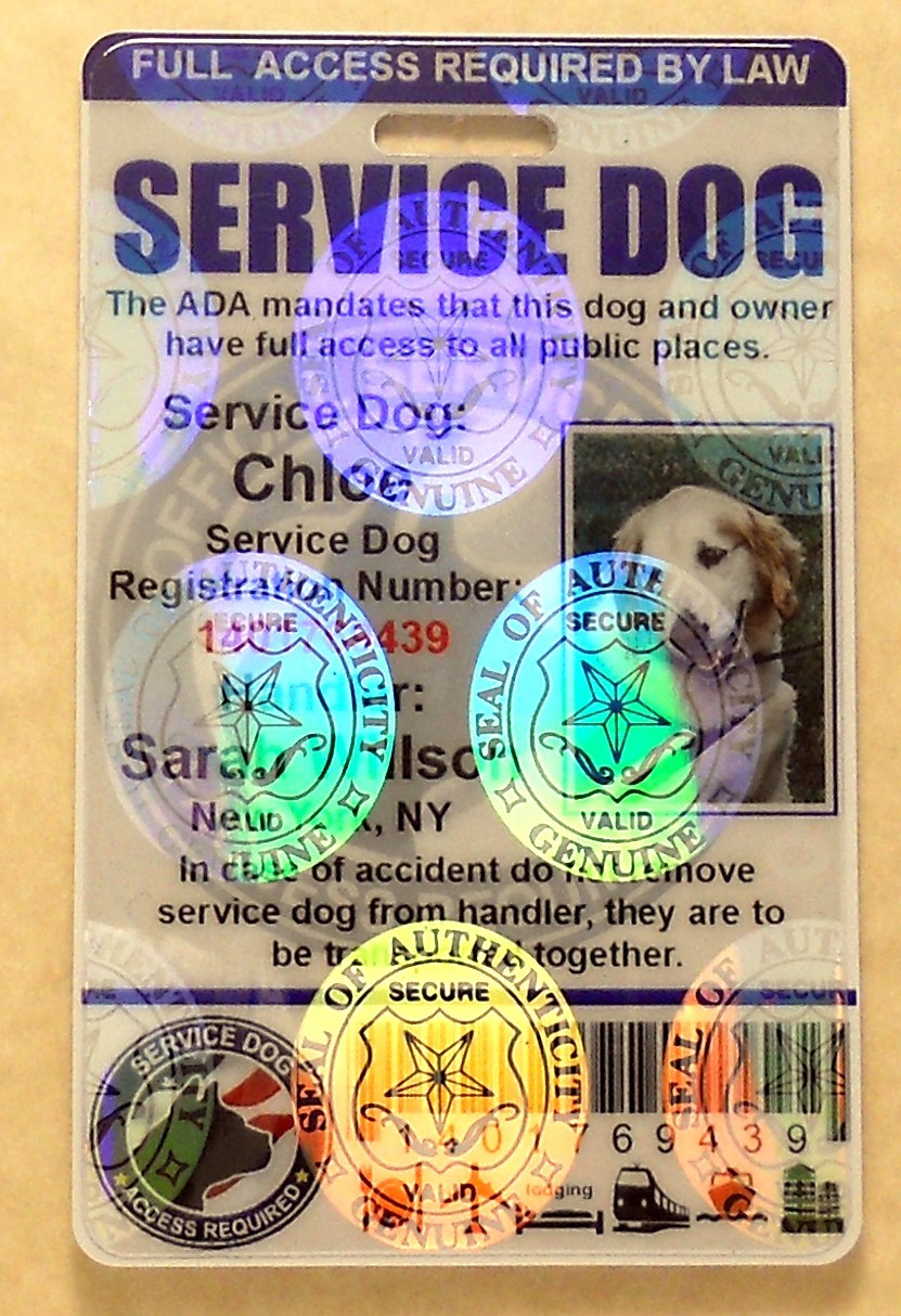 HOLOGRAPHIC PVC SERVICE DOG ID BADGE SERVICE ANIMAL ID CARD ADA TAG FOR VEST #0H