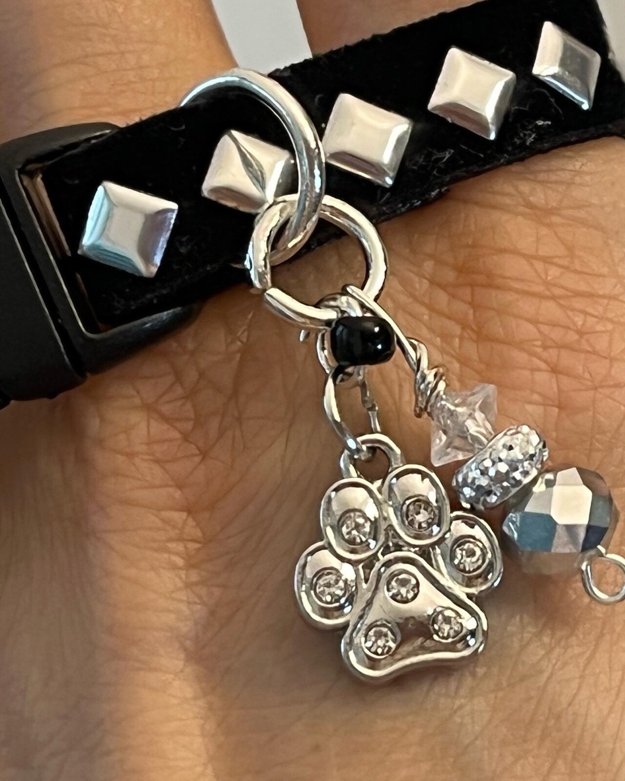 Collars for Dog and Cats collares para Perros y Gatos. Small Pets.Black & Silver
