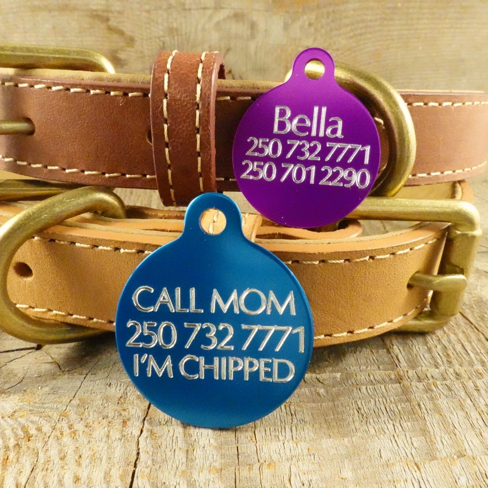 PET TAG DOG CIRCLE CUSTOM DIAMOND ENGRAVED SKULL DETAILS BACK 2 SIZES W/ RING