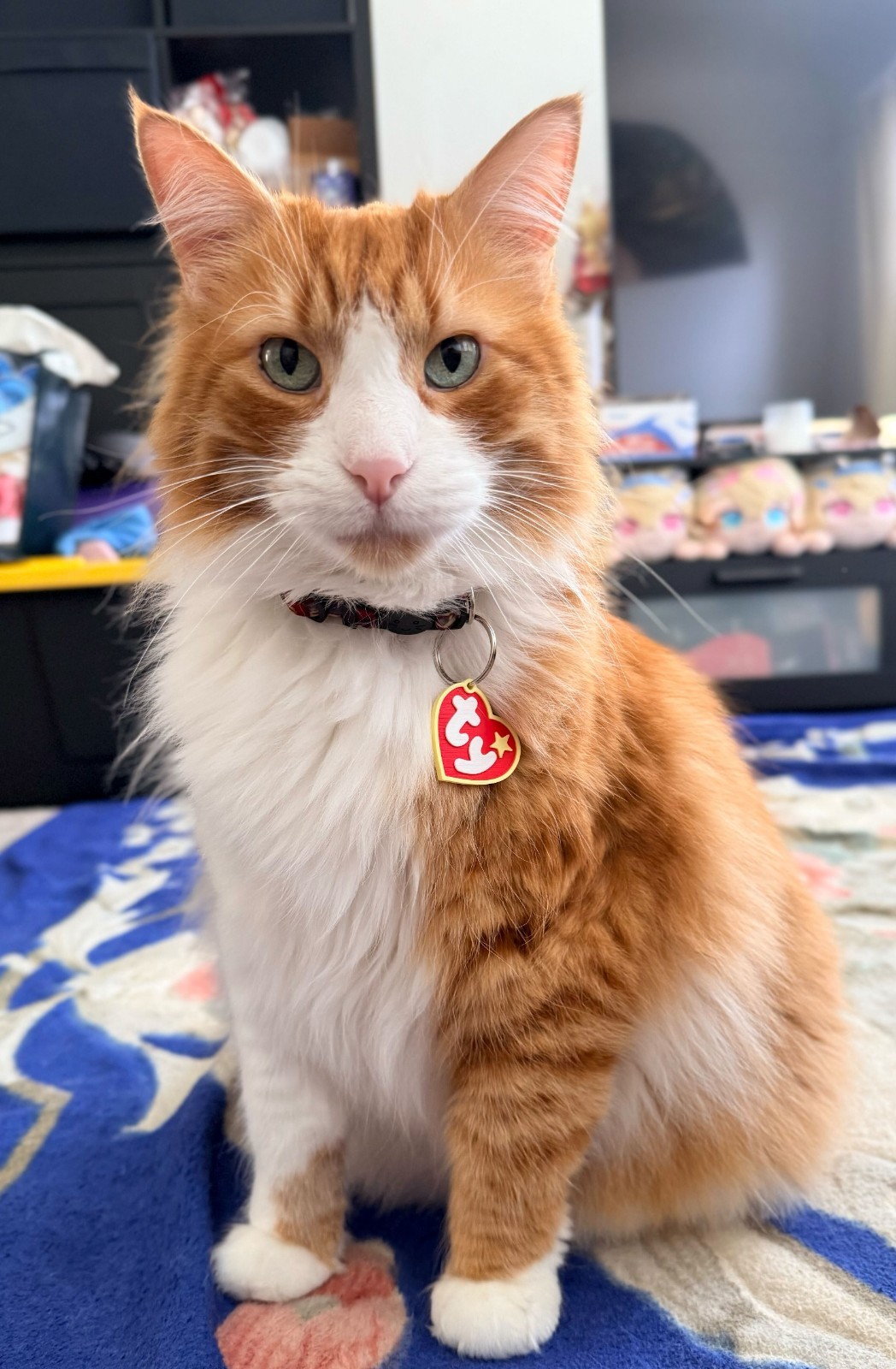 ty Beanie Babies Custom pet tag keychain