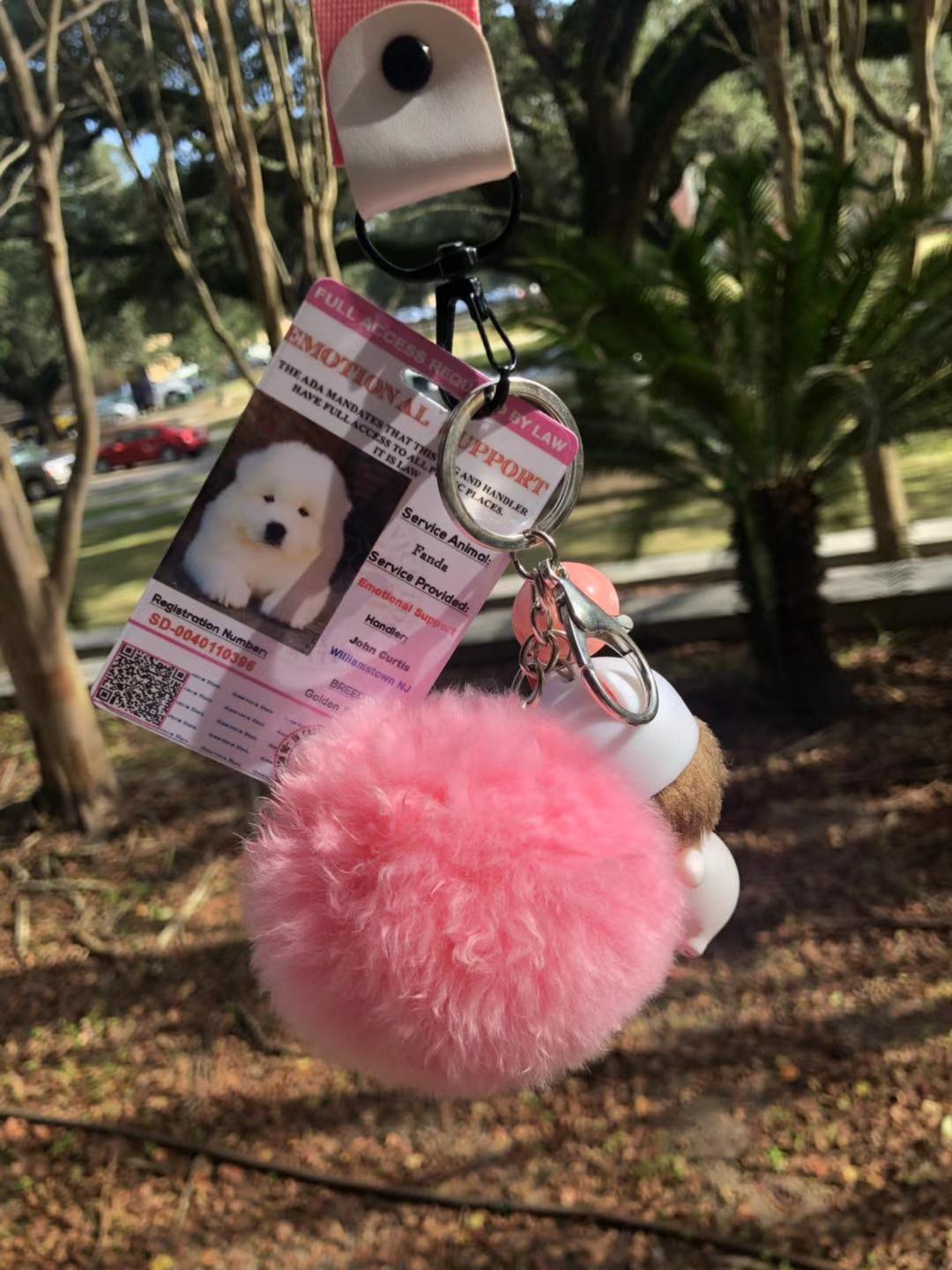 Pink EmotionalSupport Dog Card ID Assistance Animal Badge ADA ESA With QR Code