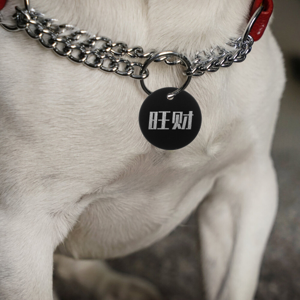 25PCS Aluminium Pet Tag Alloy Pets Blank Tag Puppy Traction Rope Pendant for DIY