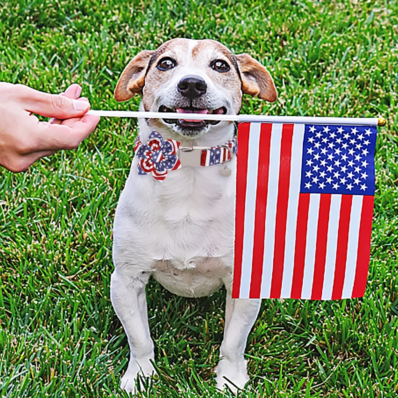 Dog Collar with Flower, 4th of July Comfortable Cotton Dog Collar, American F…