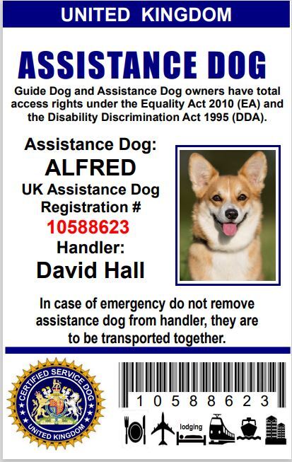 ASSISTANCE DOG UK – SERVICE CARD ID BADGE FOR UNITED KINGDOM GREAT BRITAIN ADi