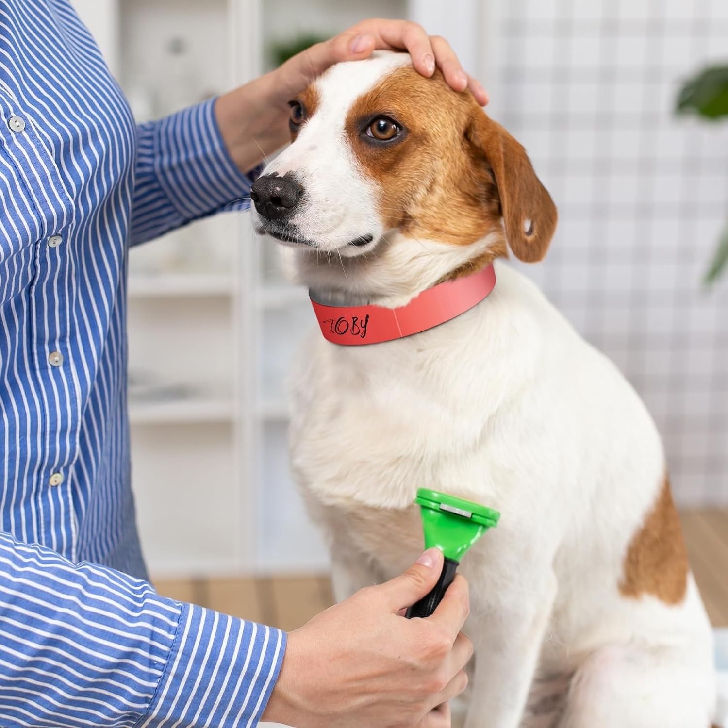 500 Count 20inch Adjustable Paper Dog Collars with Tear Resistant Waterproof …
