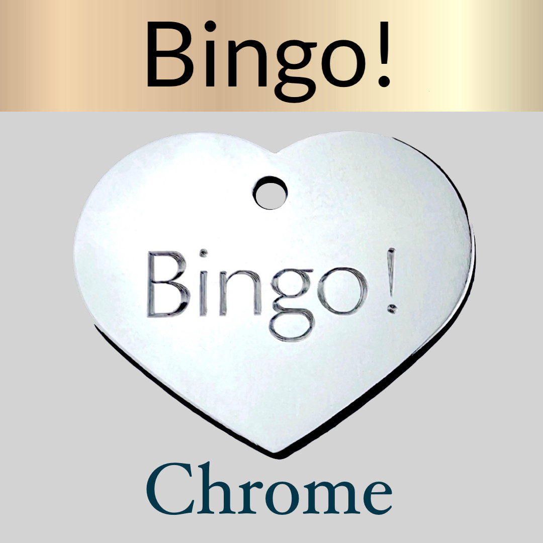 Custom Engraved Dog Tags Personalized Dog Collar Pet Tags Engraved Pet ID CHROME