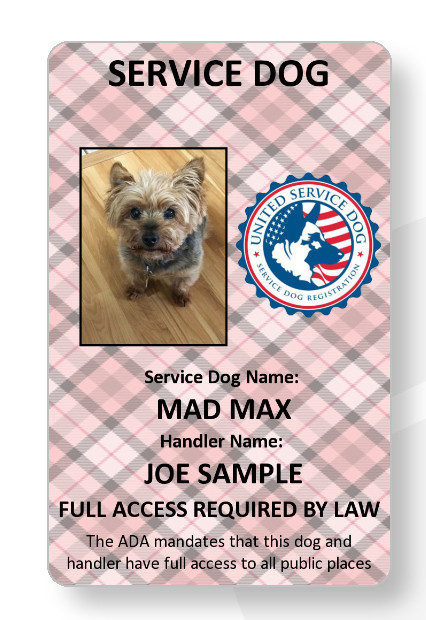 Burberry Service Dog/Emotional support/Therapy Dog ID card