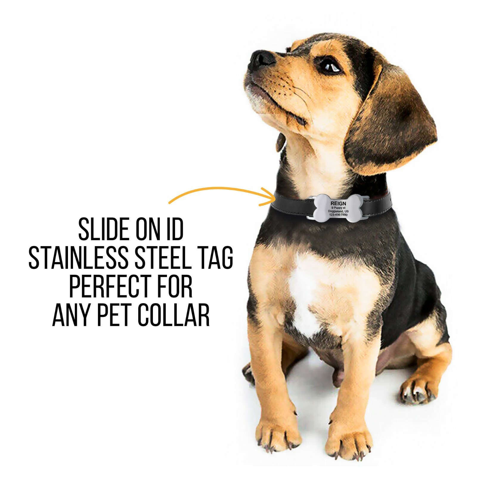 Custom Slide On Bone Dog Tag Silent Pet ID Collars Engraved Stainless Steel Dog