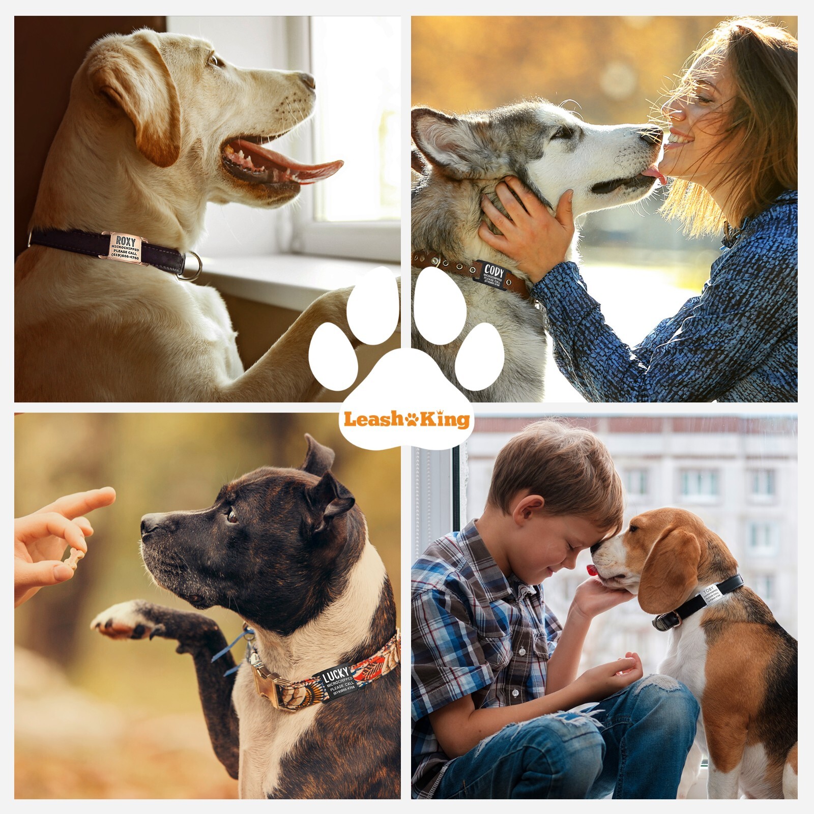 Leash King Noise-Free Slide-On Personalized Pet ID Tag