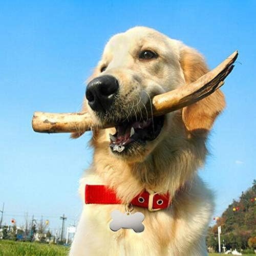 30 Pcs Pet ID Tag Bone Shape 38MM Blank Personalized Aluminium Pendants Tag Dog