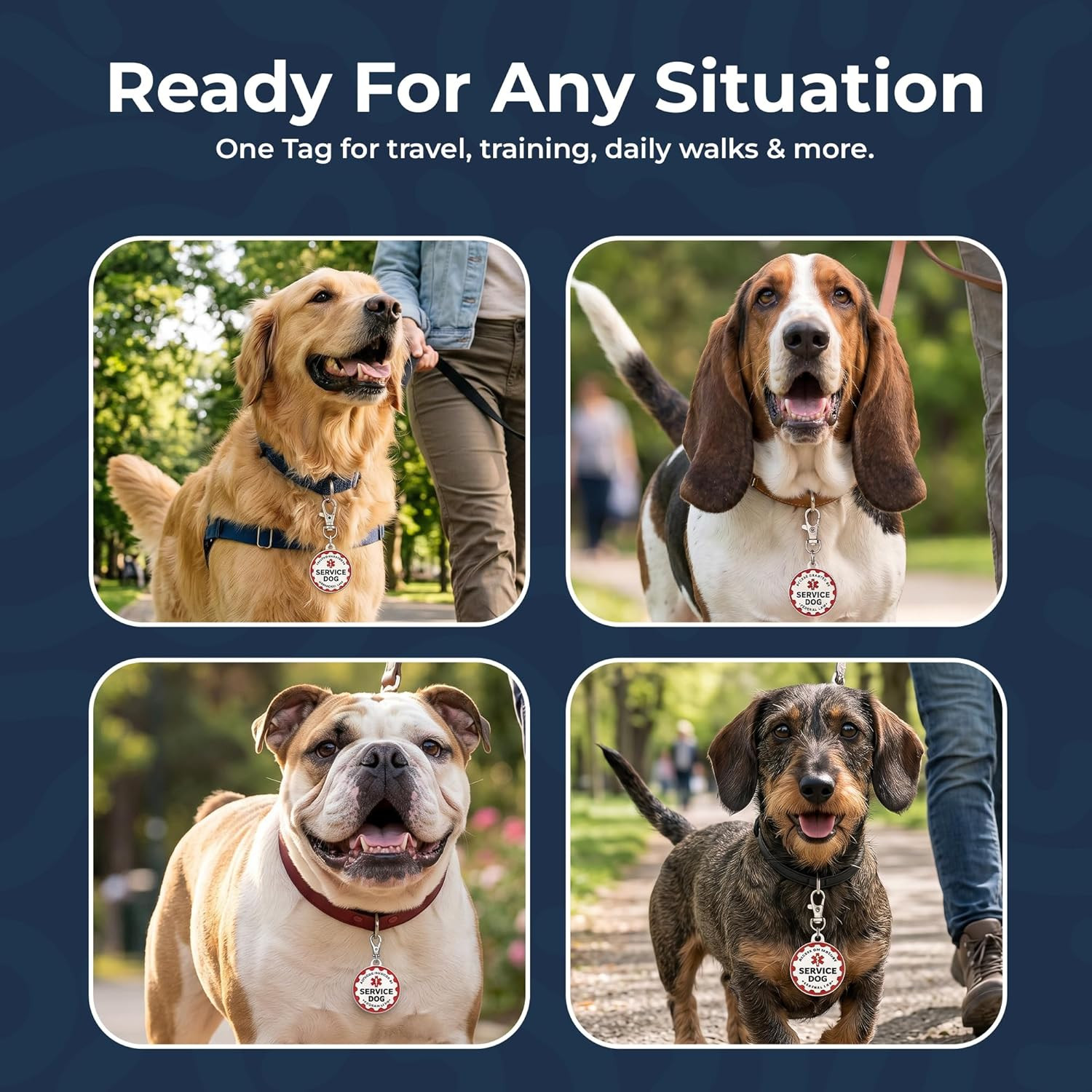 Service Dog Tag, 2 Pack: Metal Pet ID Tags for Service Animals, Emotional Suppor