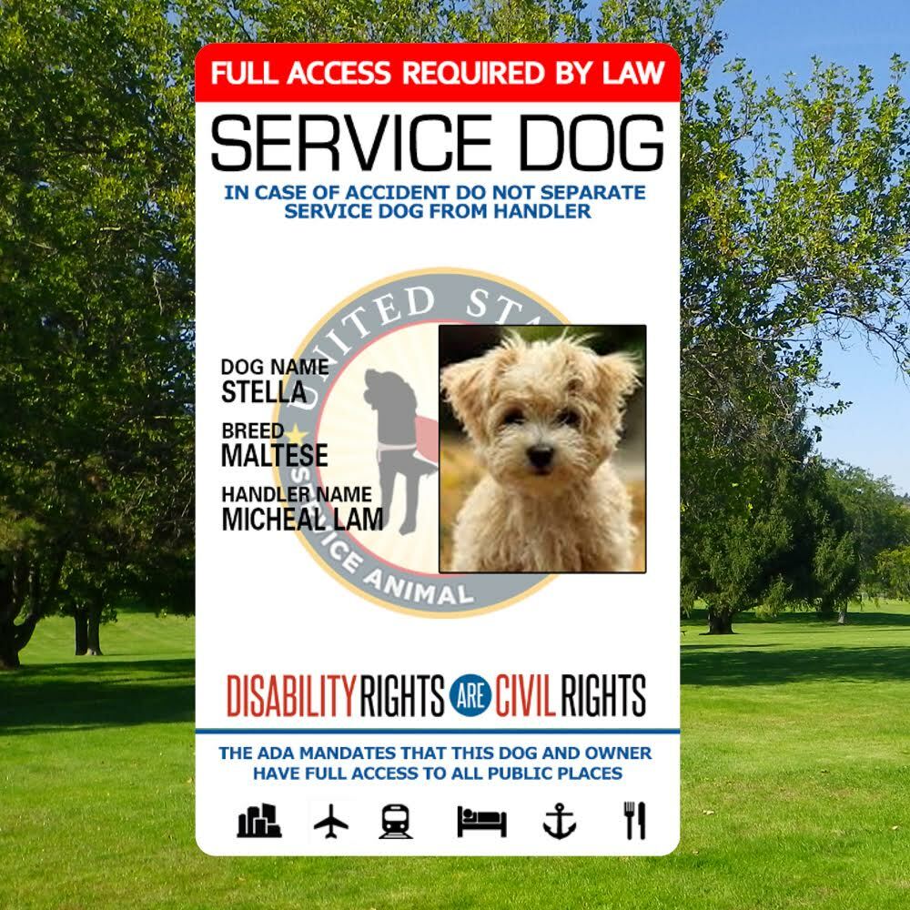 SERVICE DOG ID CARD WITH REGISTRATION – HOLOGRAPHIC