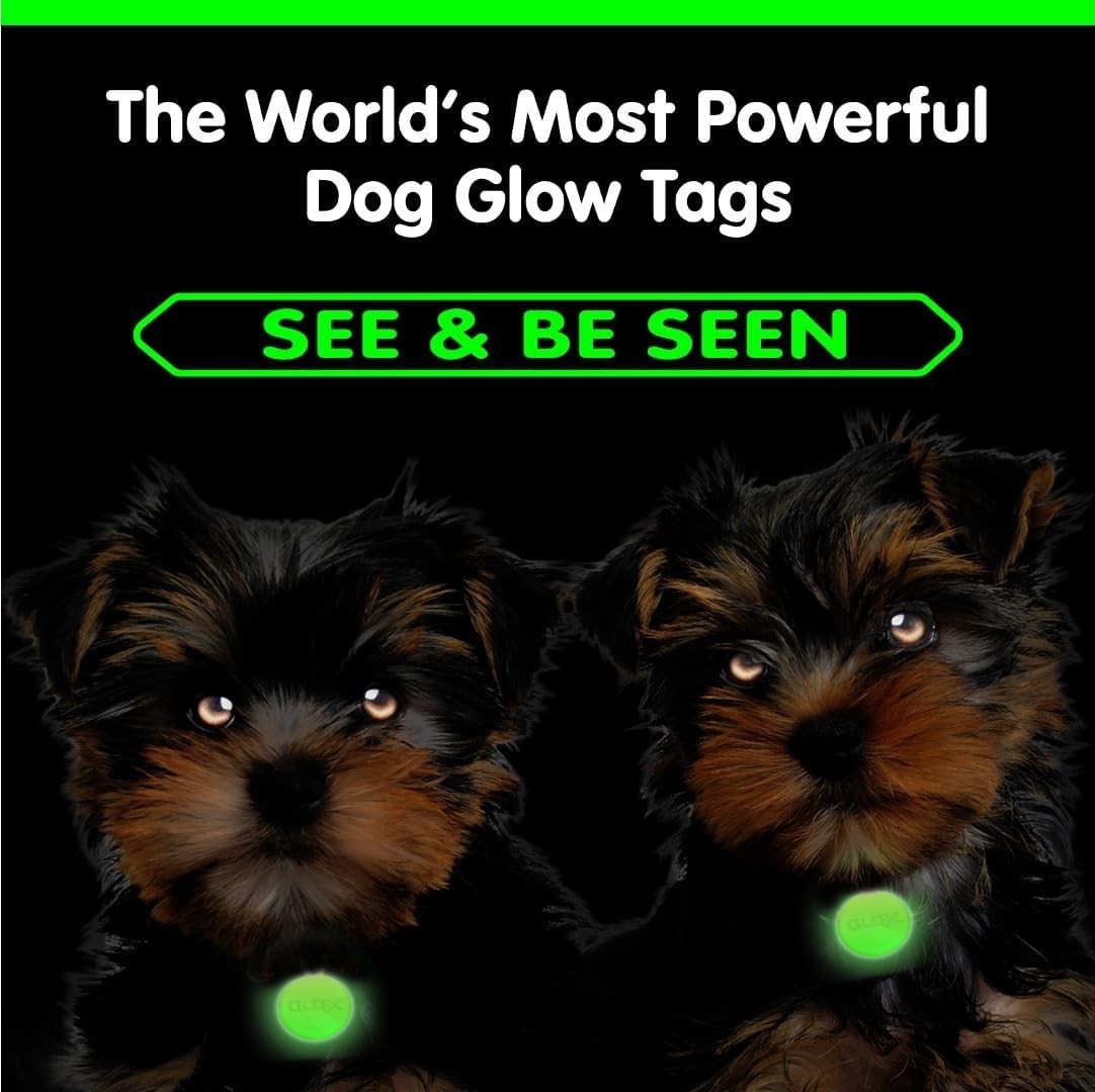Glow in Dark Dog Collar Tags Pet Safety Night Visible 12H Glow Tags