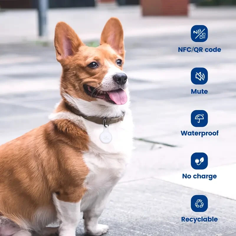 NFC QR Code Pet ID Tag, Silicone Silent Dog & Cat Name Tag, Personalized Pet Tag