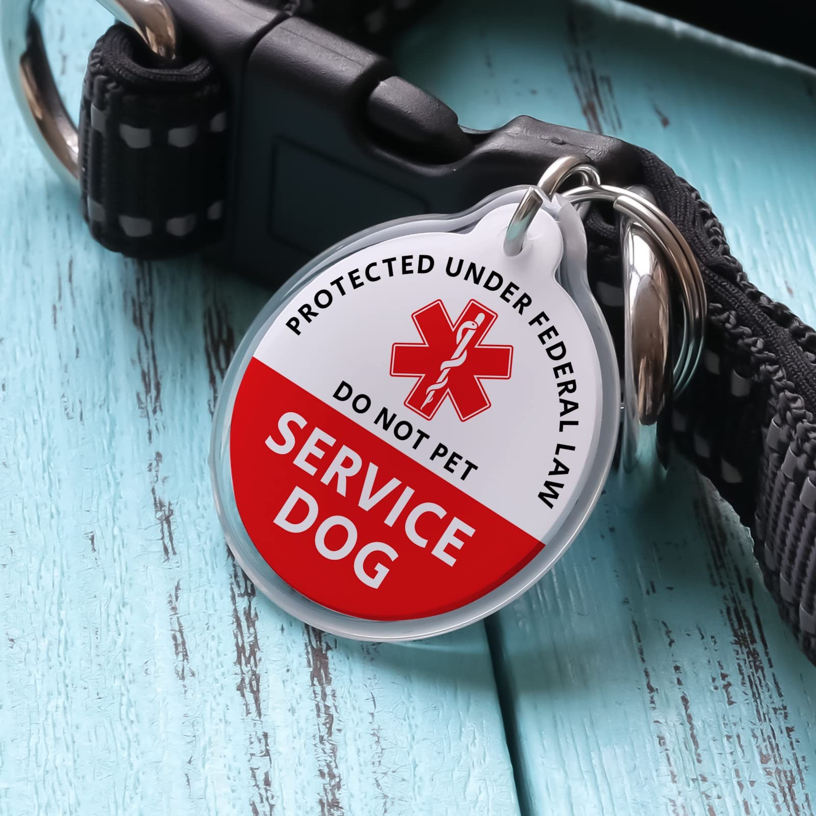 Service Animal ID Tag QR Code Online Profile Location Alert Dog Cat Collar