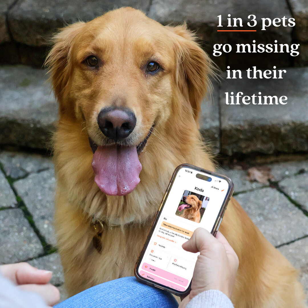 Tailr Slide On QR Code Dog Tag Silent Pet ID Tag with App No Jingle All Sizes