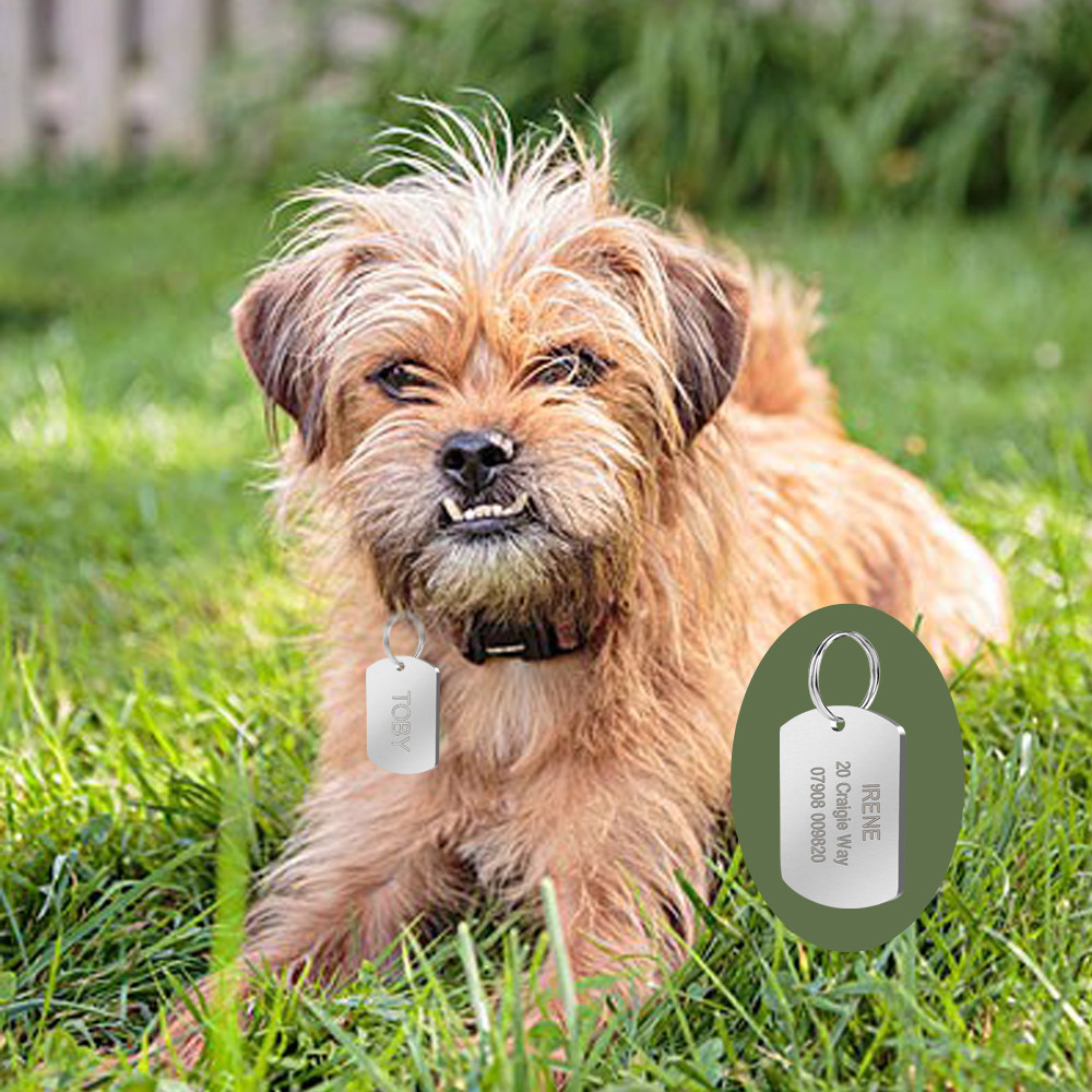 Military Dog Tags Custom Engraved Army Identity Dog Name Tag Stainless Steel